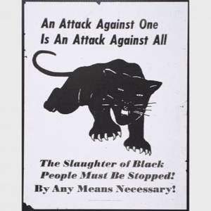 Meet your Posher, Darryl